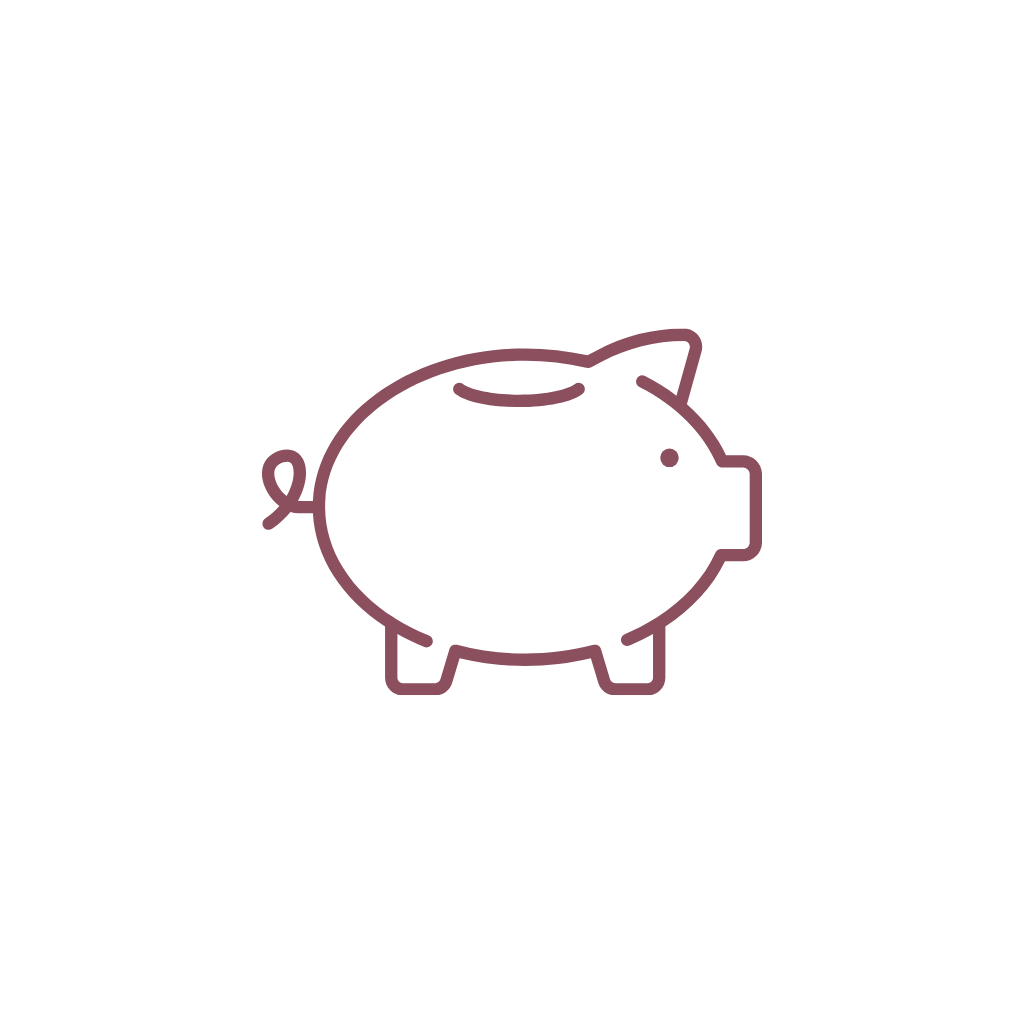 Investment-Ready Organisations icon